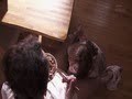 脱獄者 かすみ果穂-13
